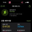 비벨라핏 이미지