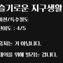 수원-1141 이미지