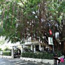 (유)소이 이미지