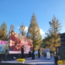 주식회사 위바운스 | 청주이벤트회사·세종이벤트회사 인정! 전문MC 박하늘의 남성면 축제 진행 후기