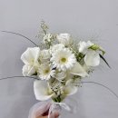 은하꽃집 이미지