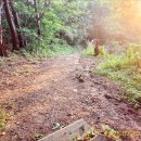 금남면사무소 이미지