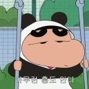 근황: 죽지않음(4) 엔시티 네이션 오사카•도쿄, ISTJ 카드전달회