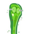 신안 퍼블릭 CC 이미지