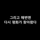 아로하 이미지