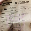 내새끼 떠나보낸 과정 및 애견장례식장 후기 (사진없음) 이미지