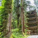 카마스터 앞 교통섬 이미지