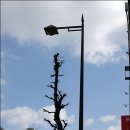 마스타카 이미지