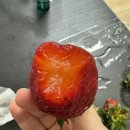 조아GYM | DAY03 - 프라하 프라이빗 1일 헬스장 예약하고 다녀온 후기 (당연 내돈내산)