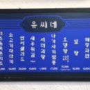 유씨네횟집 이미지