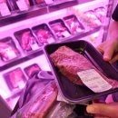 용산-290 | 화성 남양 맛집 모락모락정육식당 남양 화성시청 본점 21개월 아이랑 주말 내돈내산 후기