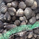 인이수산 이미지