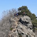 제 1,022차 3월 20일 전남 구례 견두산(774m) (구례 산수유꽃) 이미지