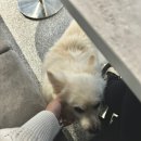 요커청담점