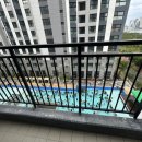 도미니클라바 이미지