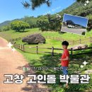 고창군청소년수련관 | 고창 아이와 가볼 만한 곳 고창 고인돌 박물관 모로모로 열차에 무료로 VR 체험까지