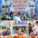 정가네토굴새우젓 Daum카페