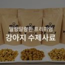 펫츠플레이트 이미지