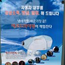 20000원 손세차 이미지