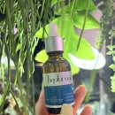 이디아코스메틱 | 겨울철피부관리 히알루론산 수분 미백 탄력 앰플추천 이디아코스메틱 후기