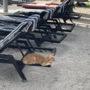 길리리조트 이미지