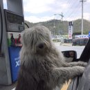 단양사랑주유소 이미지