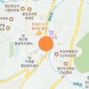 웅상대로 이미지