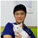 서신동물병원 이미지