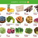 총각정육 Daum카페