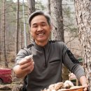 백두대간약초마을 이미지