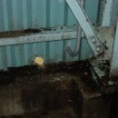 대한싸이로(주) 이미지