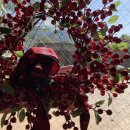 로스터리 연화 이미지