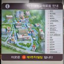 아주대학교병원 권역외상센터 | 아주대학교병원 소아과응급실 야간진료비, 대기시간, 주차 후기