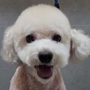 동감동물의료센터 이미지