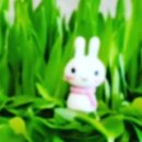 커피품애 이미지