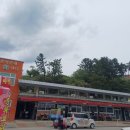 삼척마법사횟집