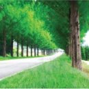 그린정보통신 이미지