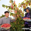 지리산꾸지뽕농장 이미지