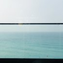 지금애월 이미지