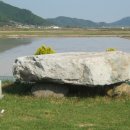 돈지백구마을 이미지