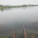 남한강낚시 이미지