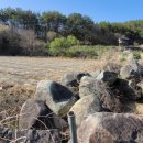 (경남고성부동산) 마암면/ 바다조망 시원한, 대지+전, 건축가능한 토지 매매/707제곱미터(214)/1억2,840만원 이미지