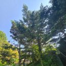 수지면 양촌마을 이미지