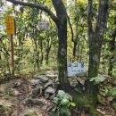 10/4[토] 광주 금당산(명산100+)+최고봉+호남정맥 중간지점 이미지