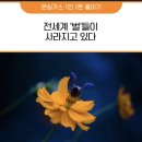 벌 기억력 앗아가는 제초제!... 벌 사라지는 이유? 이미지