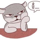 부산시립미술관 이미지