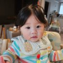BABY DIARYㅣBABY 꼬야 D+226 하정훈 삐뽀삐뽀 하정훈소아청소년과의원 시너리 문센등록
