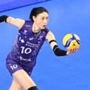김연경 카카오 검색결과