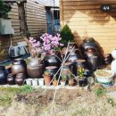 장독민박 이미지