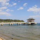 푸른바다물회 이미지